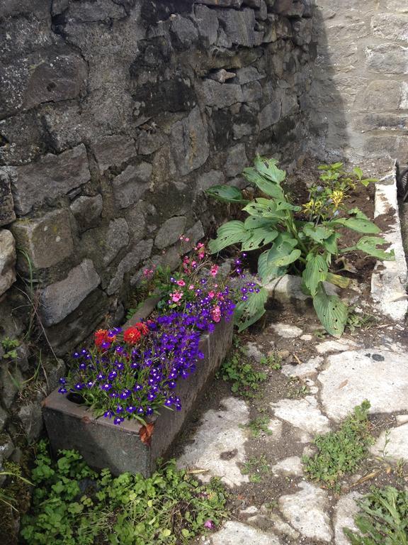 Curlew Barn Bed & Breakfast Leyburn Exterior photo